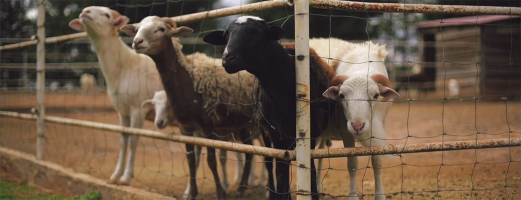 24-Fotogramas-ErickFloresGarnelo