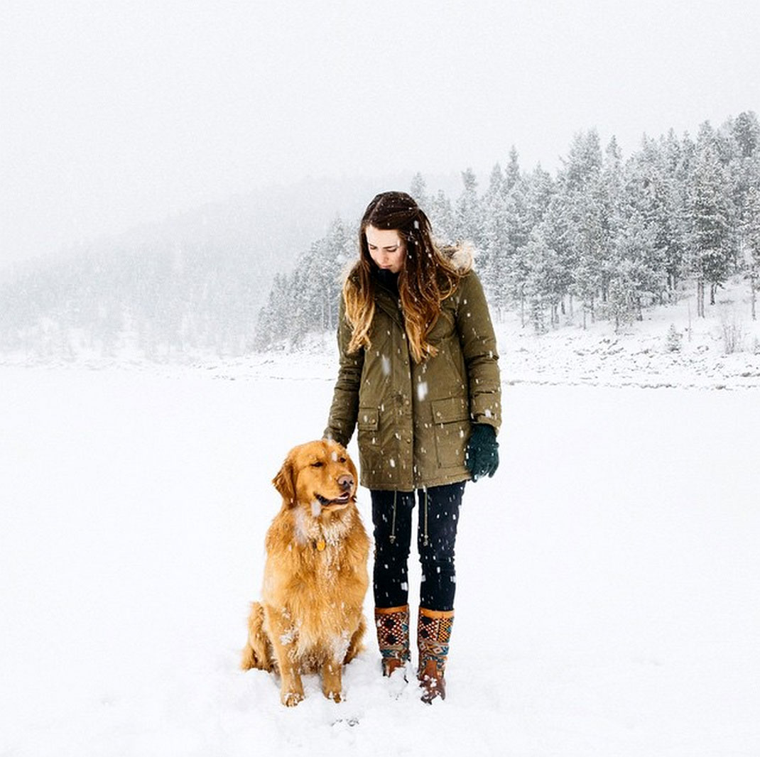 25-chienvadrouille-hunter_lawrence