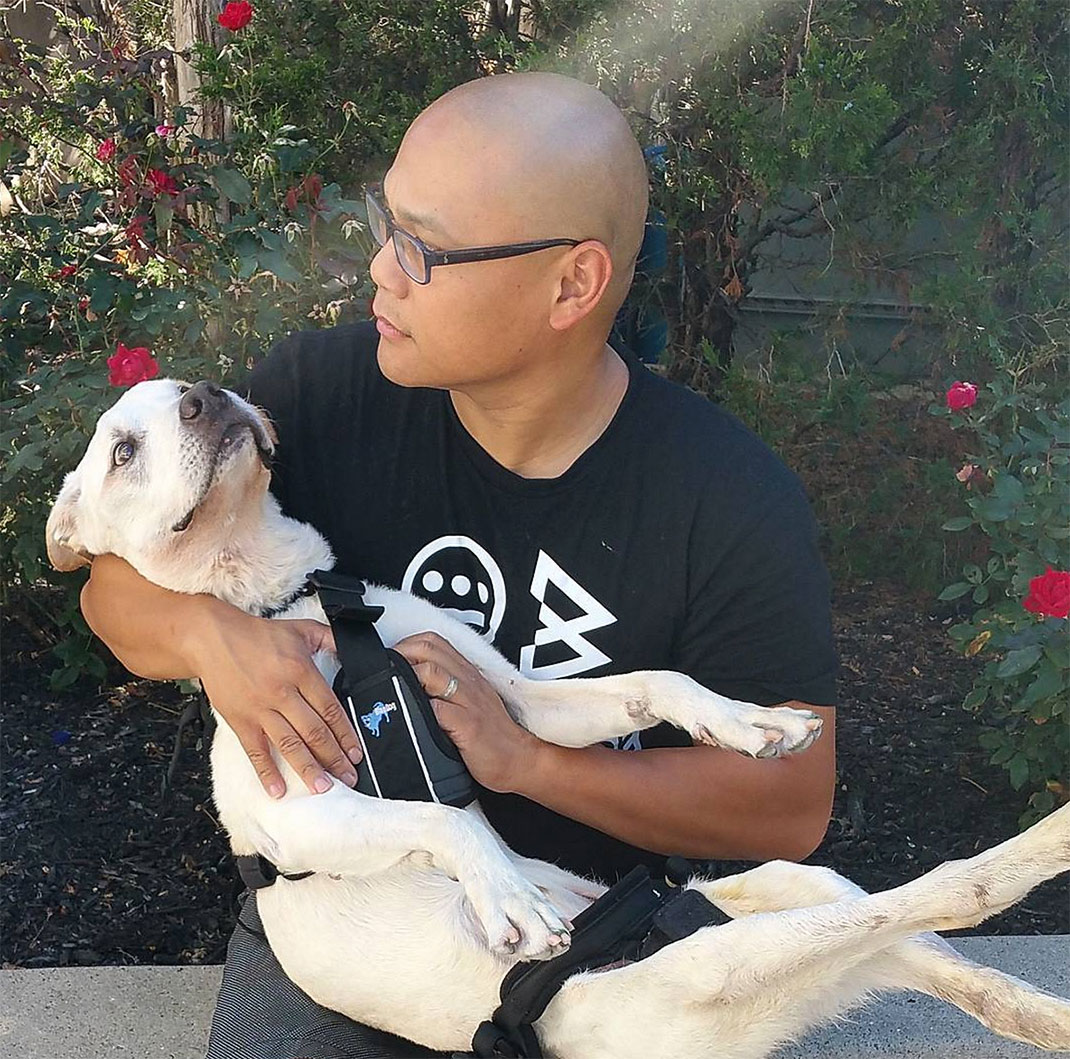 25-voyagechien-pohthedogsbigadventure