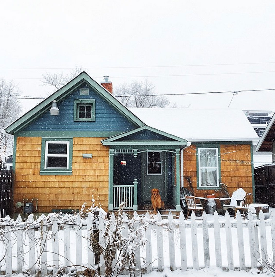 27-chienvadrouille-hunter_lawrence