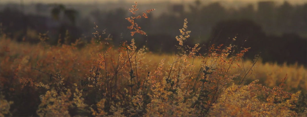 31-Fotogramas-ErickFloresGarnelo