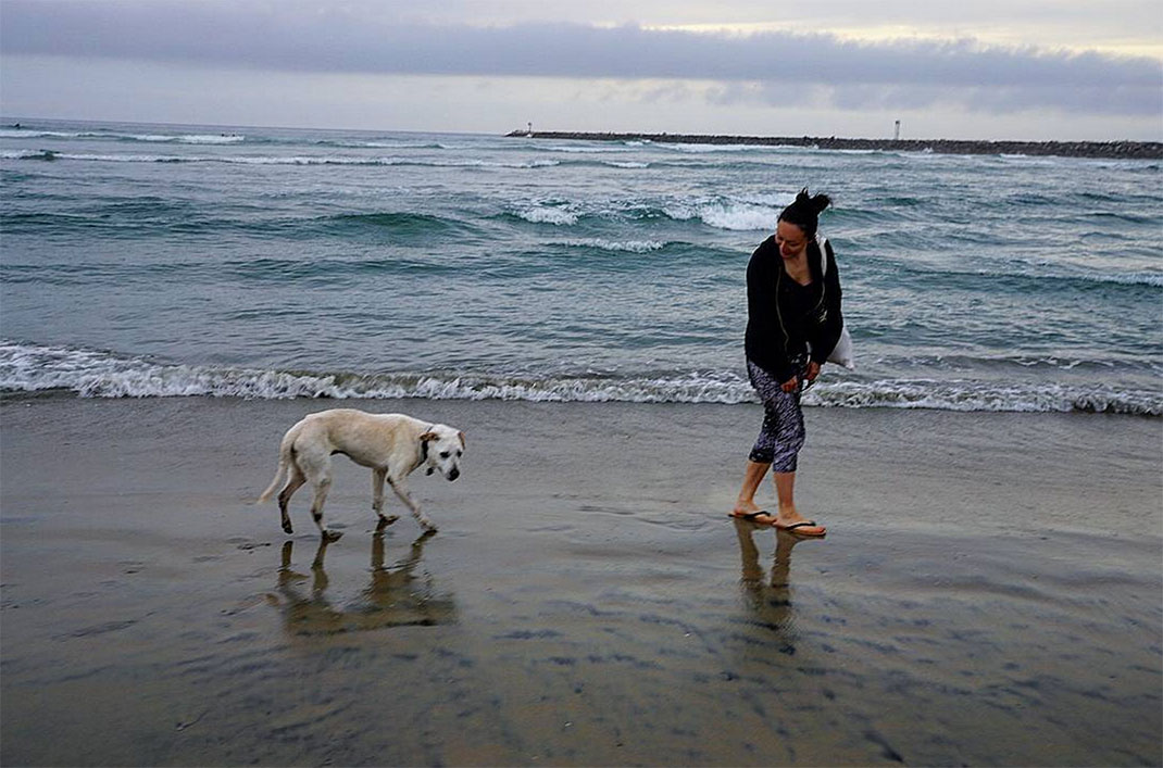 31-voyagechien-pohthedogsbigadventure