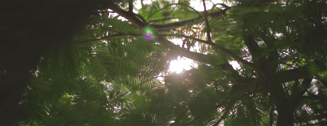 33-Fotogramas-ErickFloresGarnelo