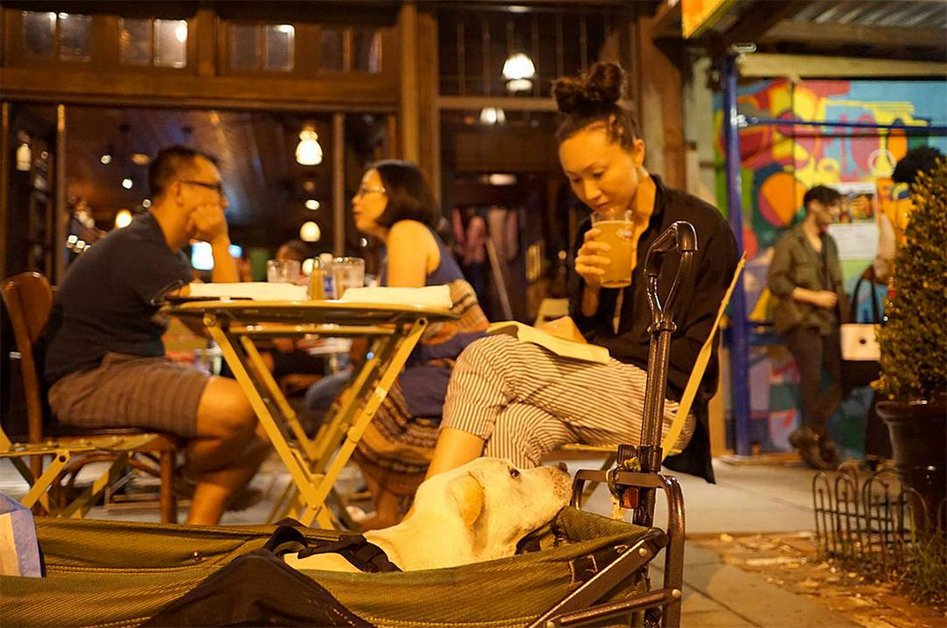 33-voyagechien-pohthedogsbigadventure