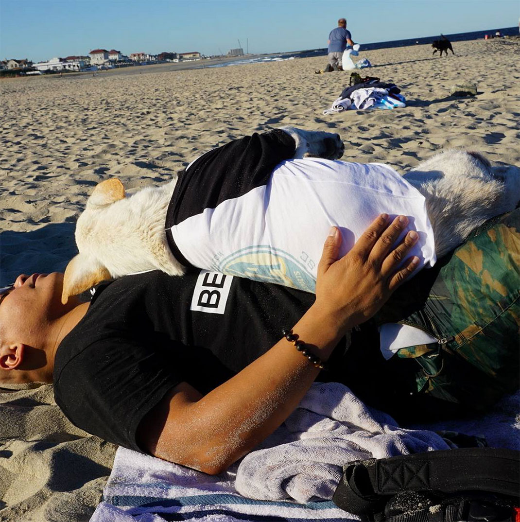 34-voyagechien-pohthedogsbigadventure