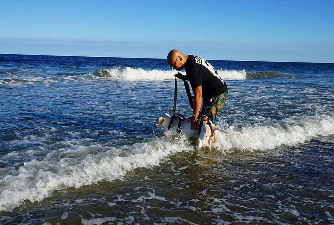 35-voyagechien-pohthedogsbigadventure