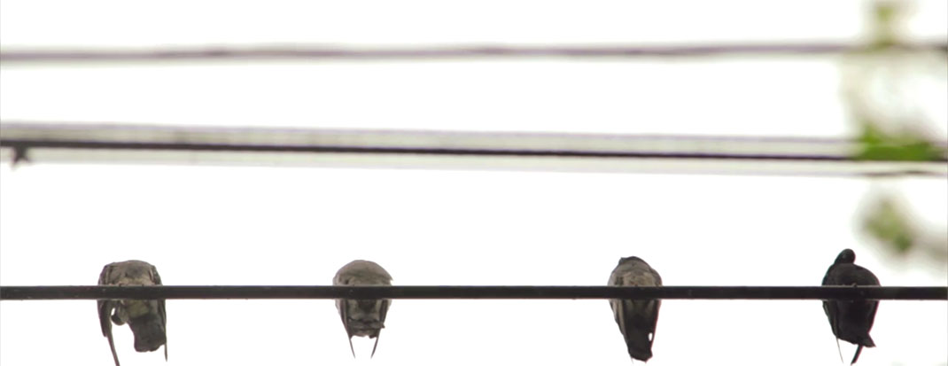 36-Fotogramas-ErickFloresGarnelo