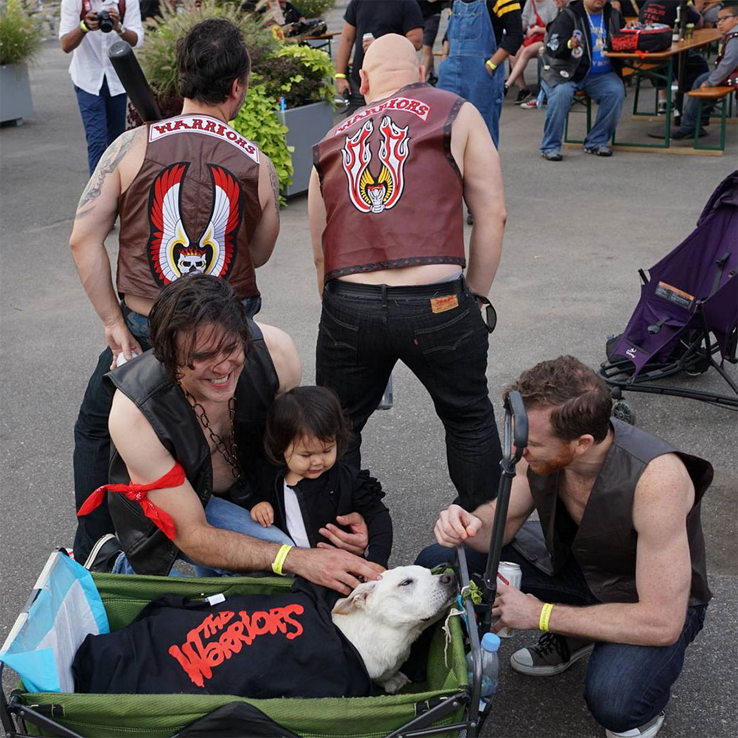 37-voyagechien-pohthedogsbigadventure