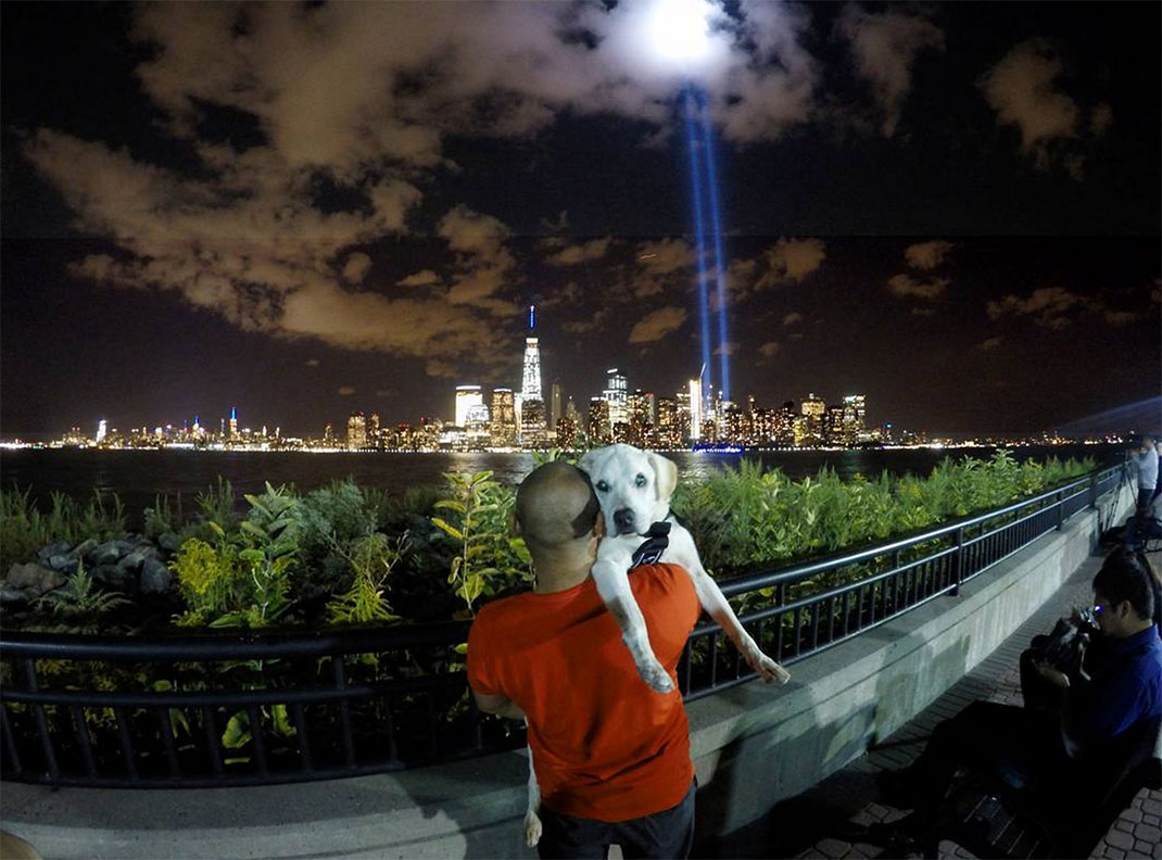 39-voyagechien-pohthedogsbigadventure