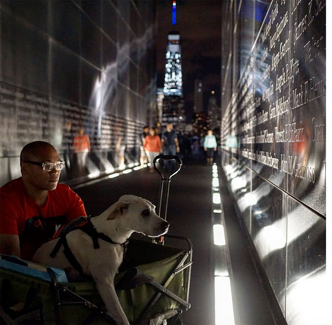 40-voyagechien-pohthedogsbigadventure