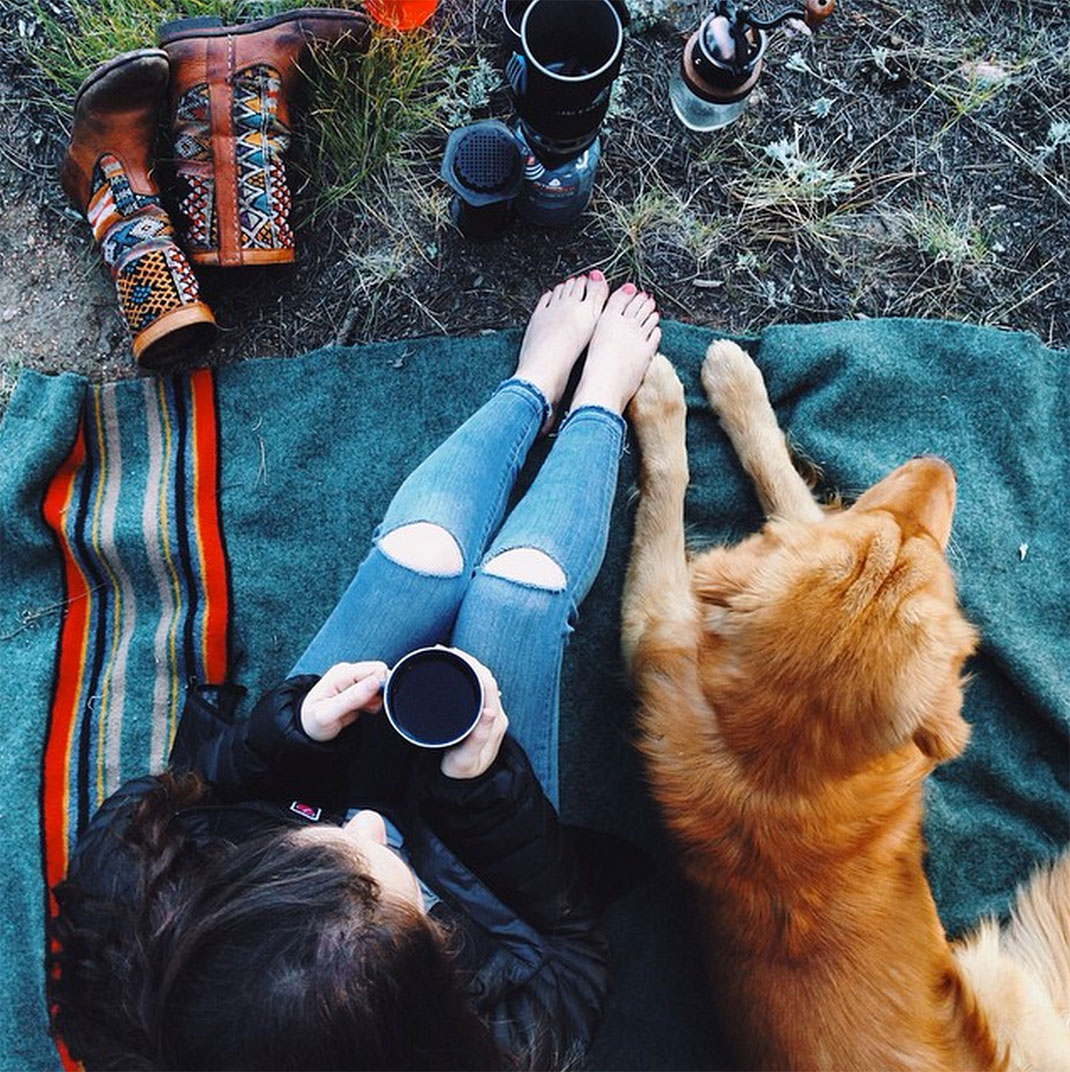 43-chienvadrouille-hunter_lawrence