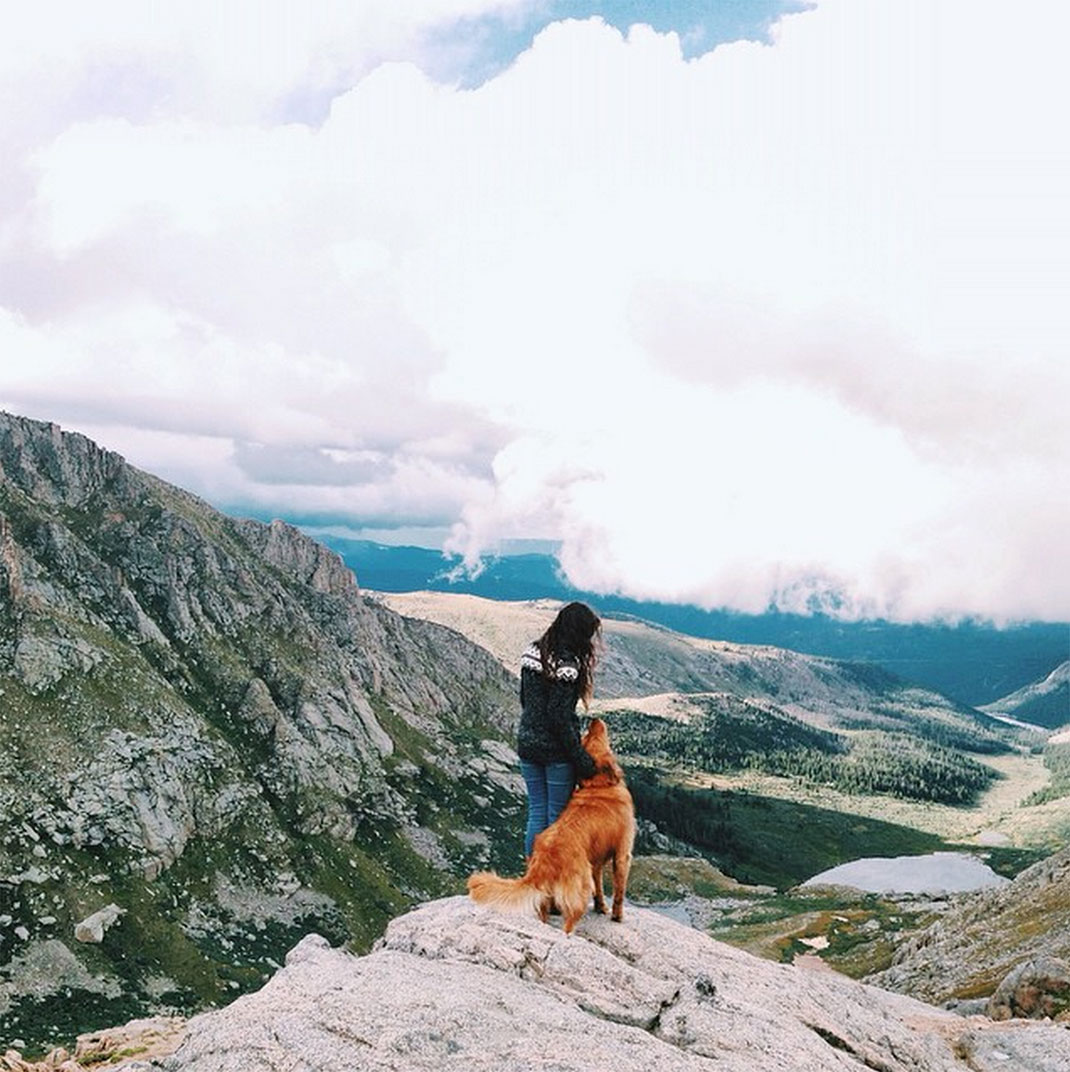 44-chienvadrouille-hunter_lawrence