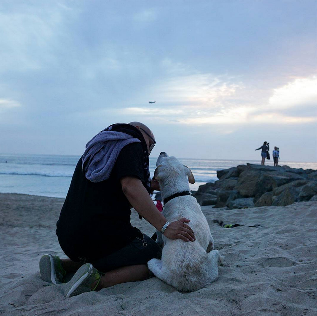 44-voyagechien-pohthedogsbigadventure