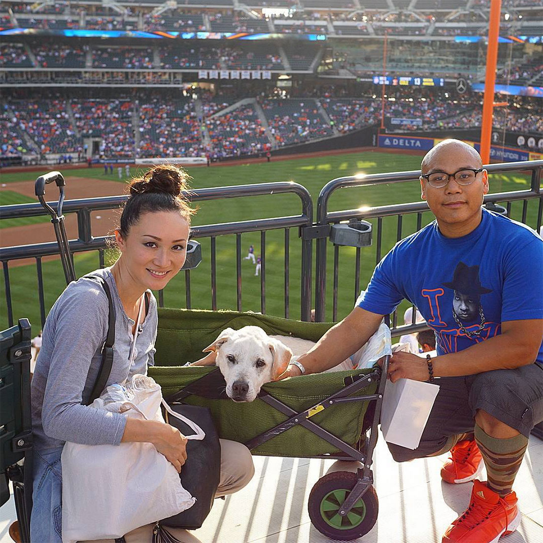 45-voyagechien-pohthedogsbigadventure