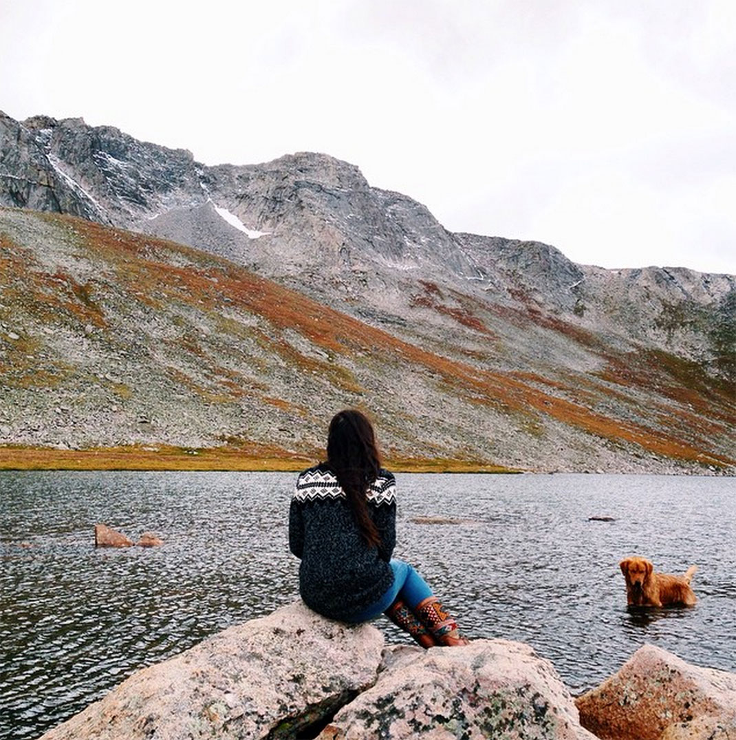 46-chienvadrouille-hunter_lawrence