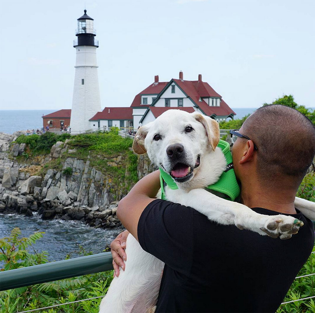 46-voyagechien-pohthedogsbigadventure