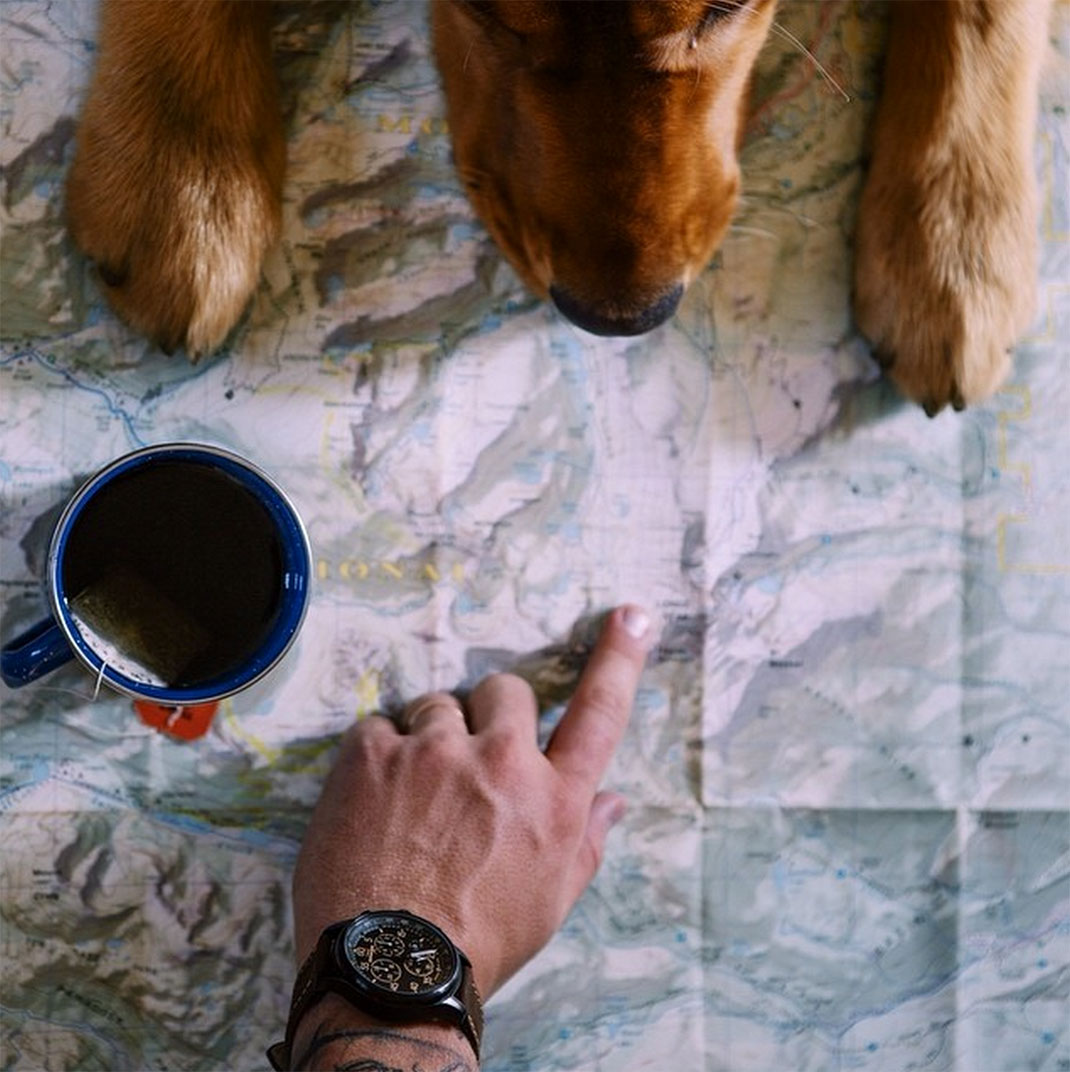 49-chienvadrouille-hunter_lawrence