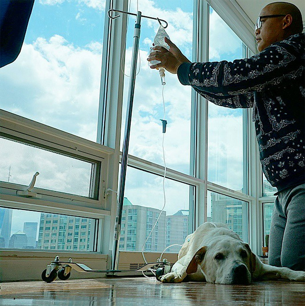 50-voyagechien-pohthedogsbigadventure