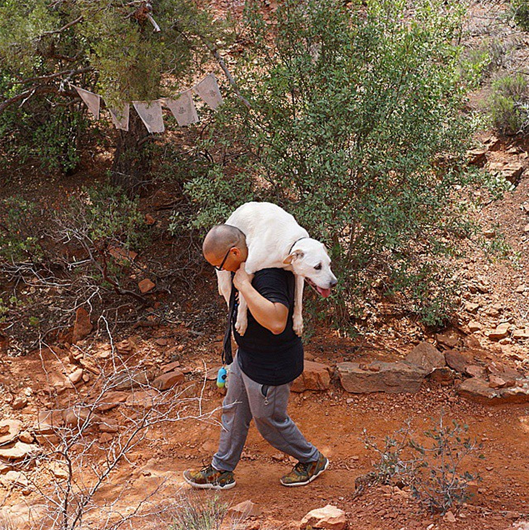 52-voyagechien-pohthedogsbigadventure