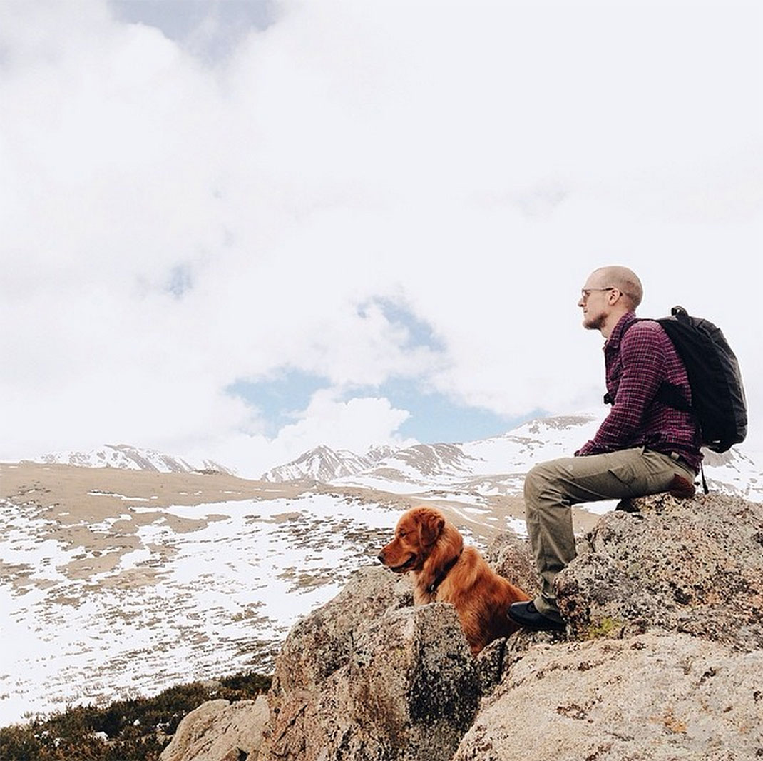 54-chienvadrouille-hunter_lawrence