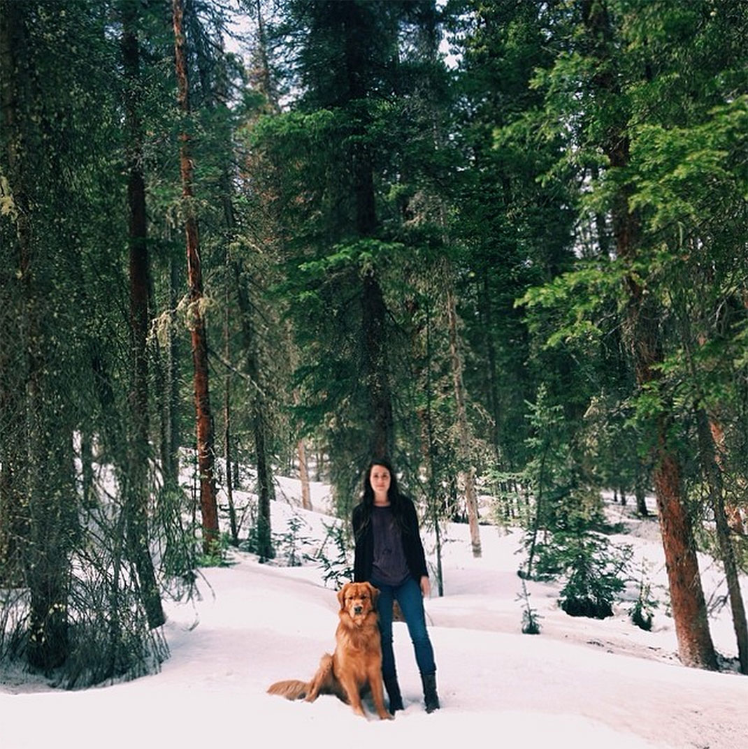 55-chienvadrouille-hunter_lawrence