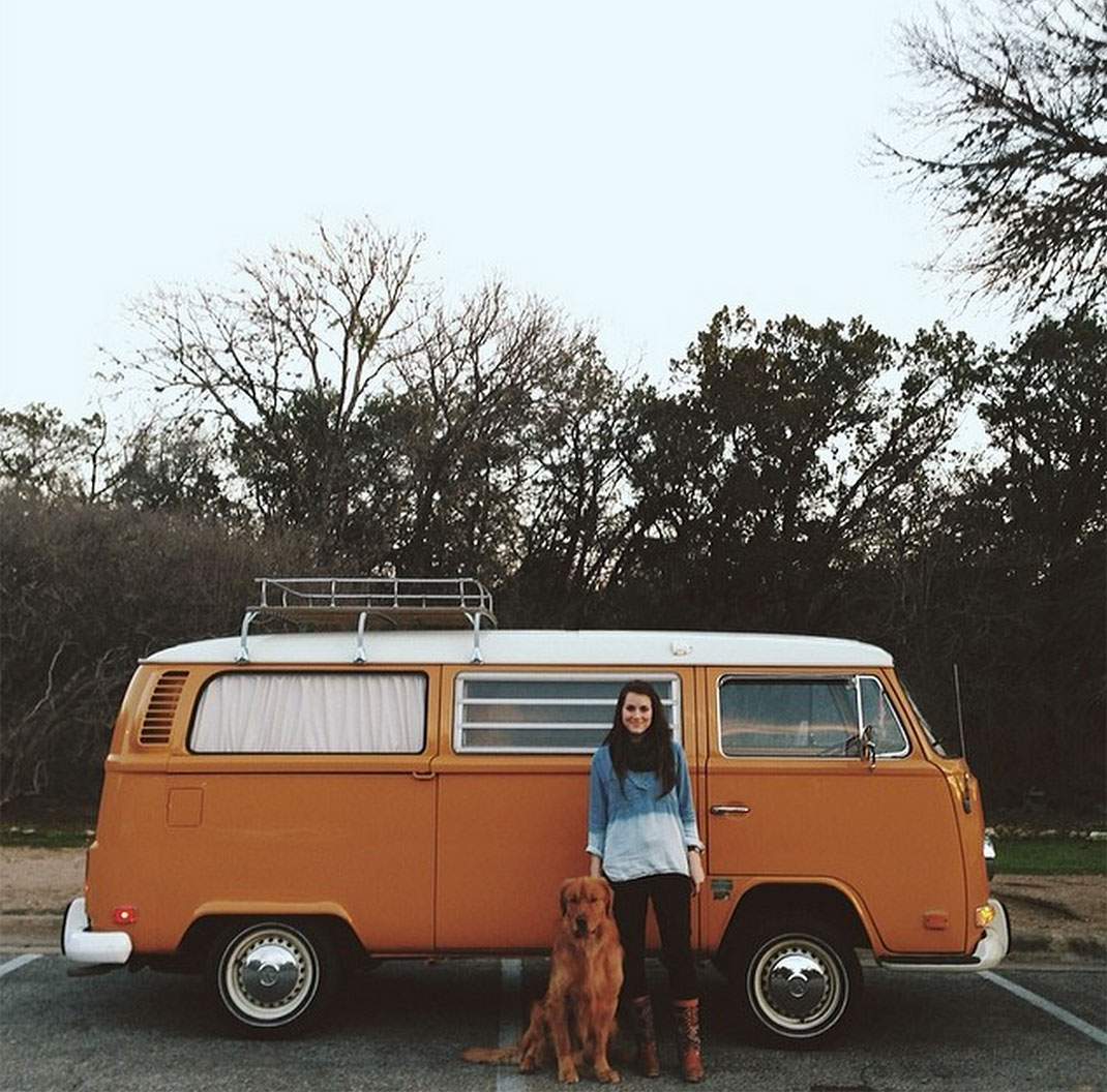 57-chienvadrouille-hunter_lawrence