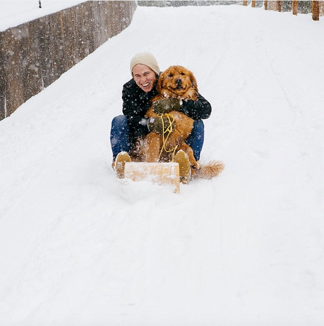 61-chienvadrouille-hunter_lawrence