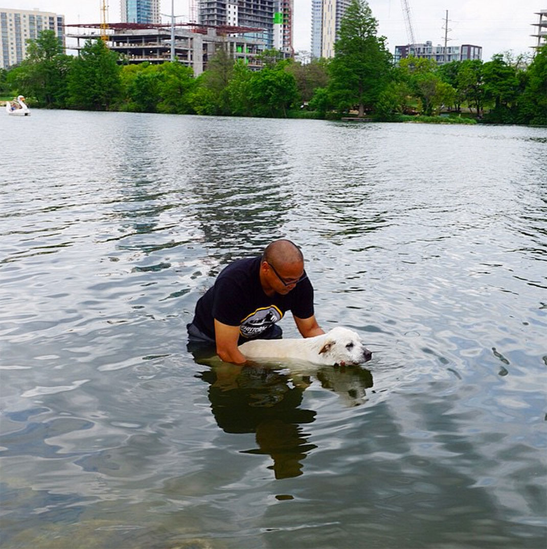 63-voyagechien-pohthedogsbigadventure