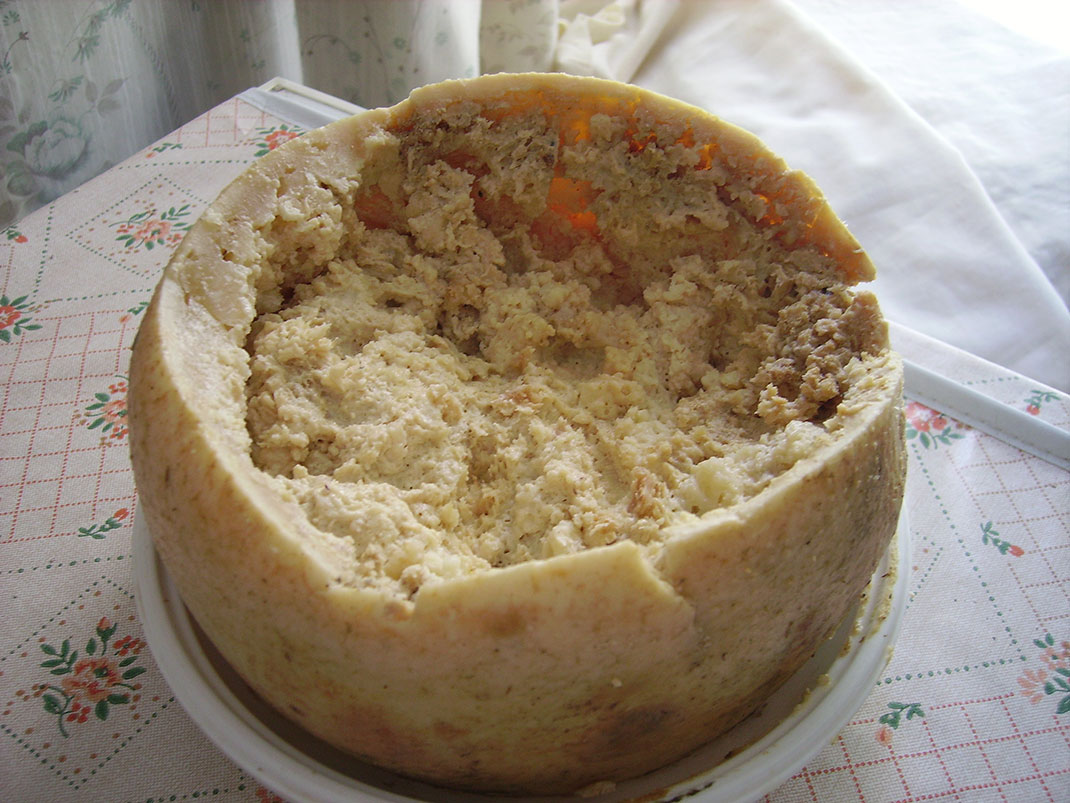 Casu-Marzu-1