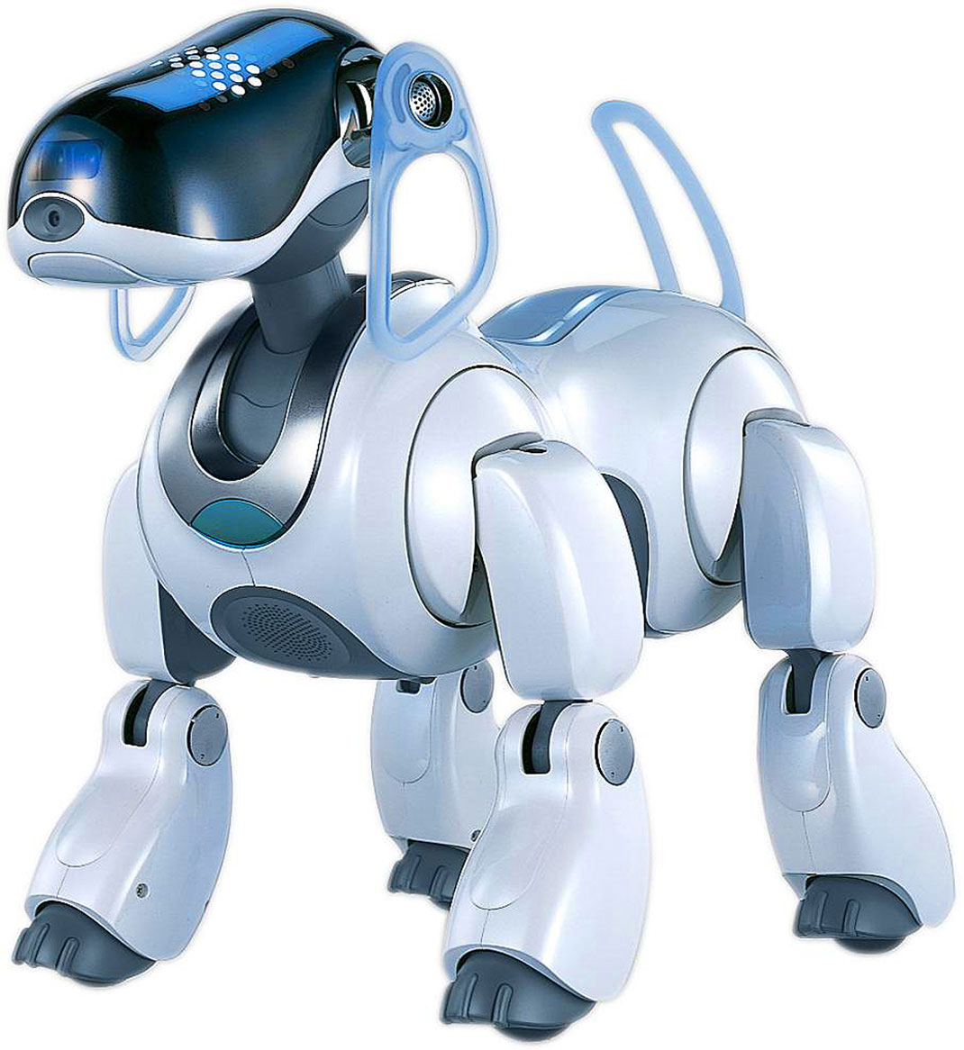 Robot-chien-2