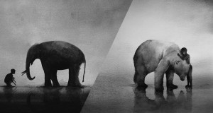 une-elephant-aquarelle