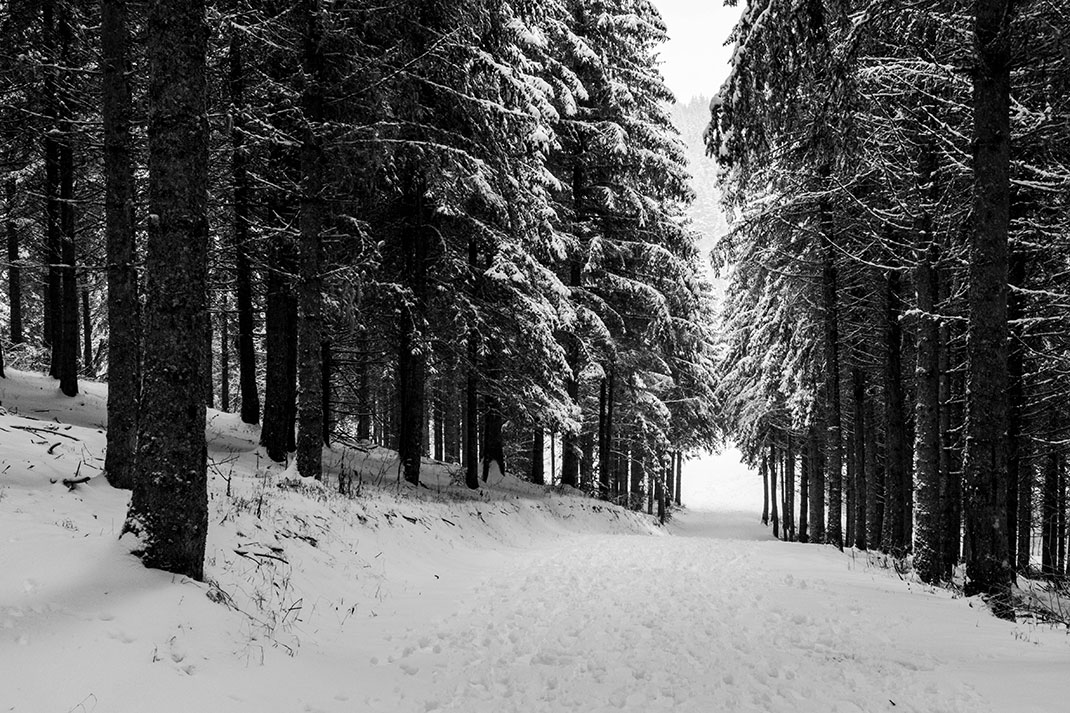 16-franceneige-LaurentSauvebois