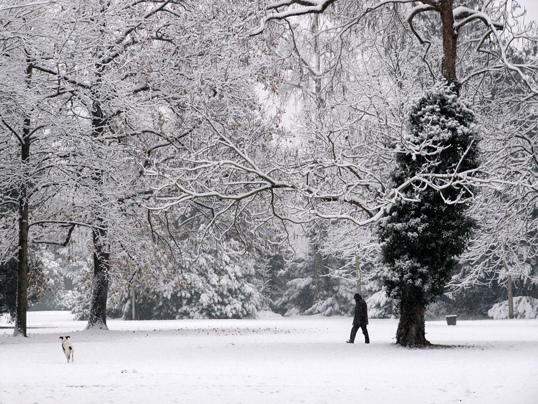 25-franceneige-francoisschnell