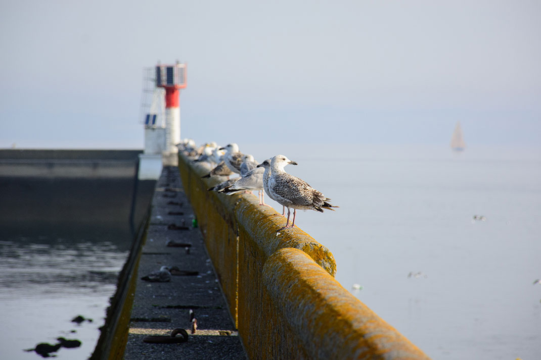 44-finistere-PierreGuezingar