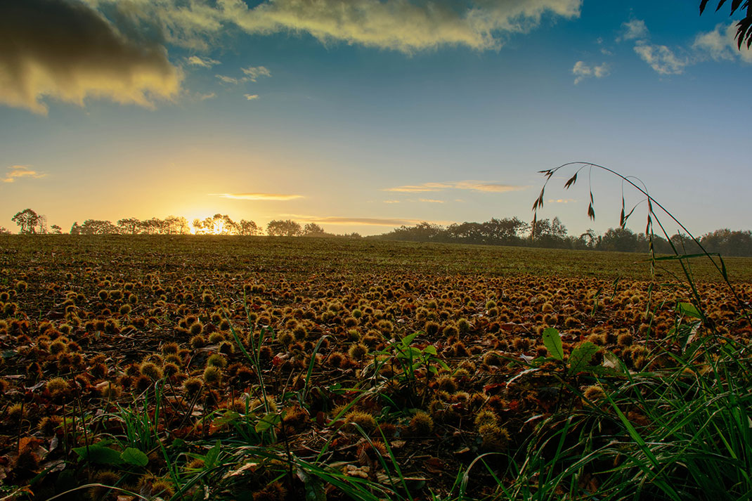 58-finistere-PierreGuezingar