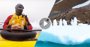 Une-antarctique-pingouins-750x394