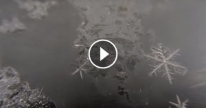 Une-naissance-flocon-3-750x394