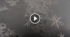 Une-naissance-flocon-3-750x394