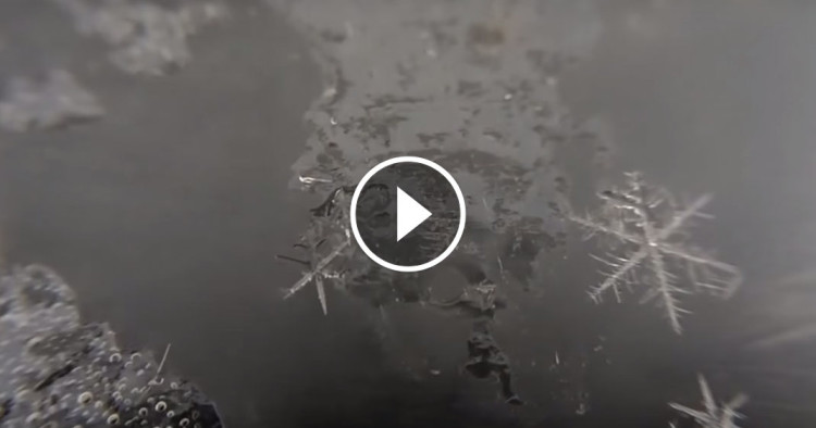 Une-naissance-flocon-3-750x394