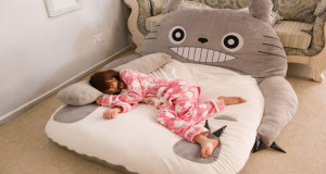 lit-totoro-Une-750x394