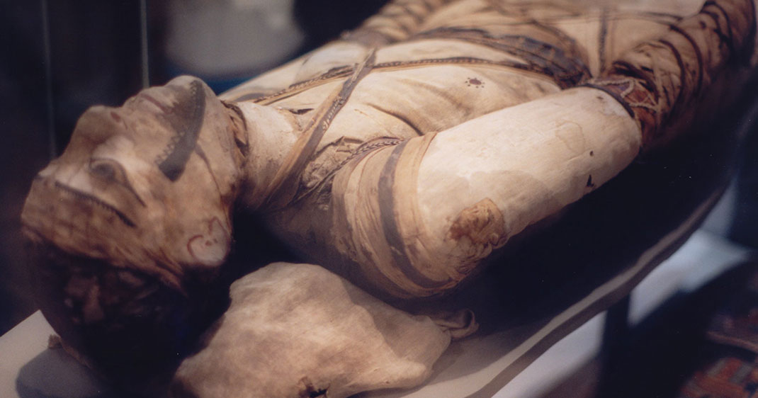 Une-momie-découvertes