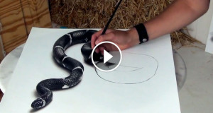 Une_serpent-3D-1-750x394