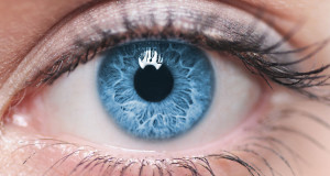 une-yeux-bleu-shutter