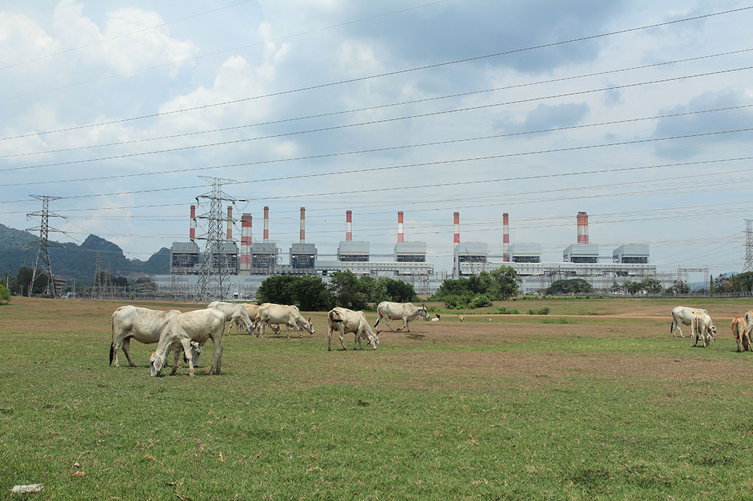 visu-elevage-pollution-2