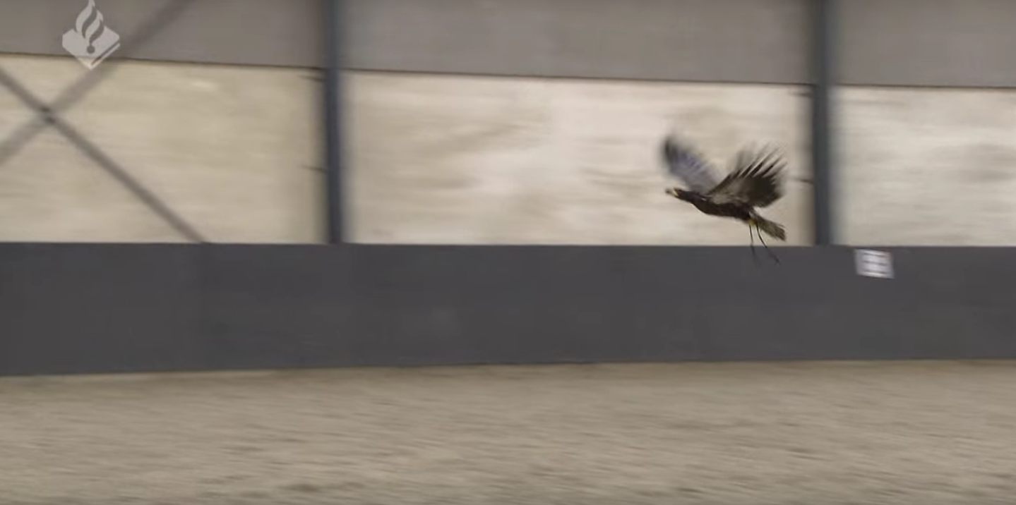 Capture d’écran 2016-02-03 à 17.10.34