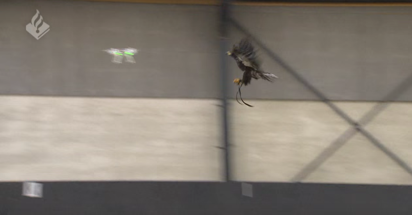 Capture d’écran 2016-02-03 à 17.10.42