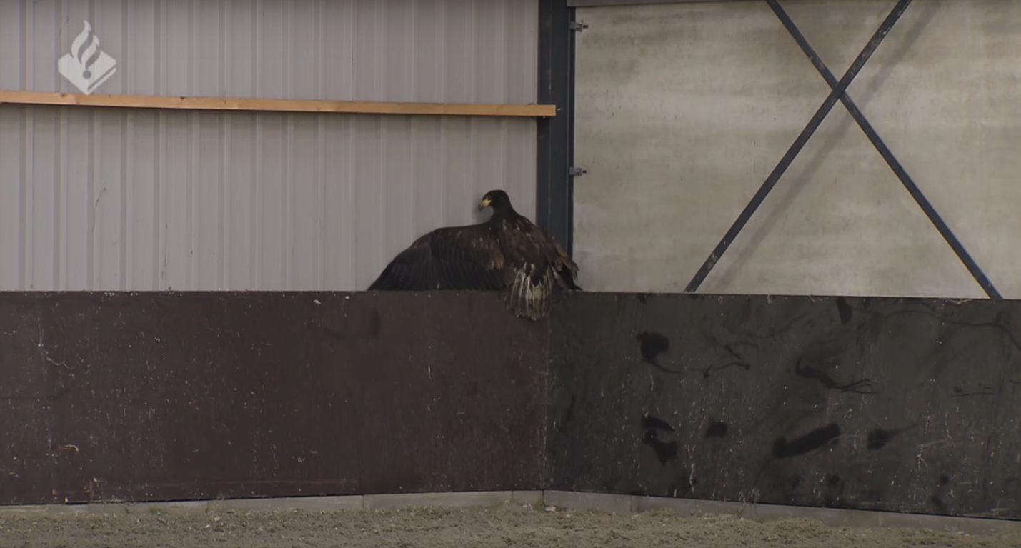 Capture d’écran 2016-02-03 à 17.11.01