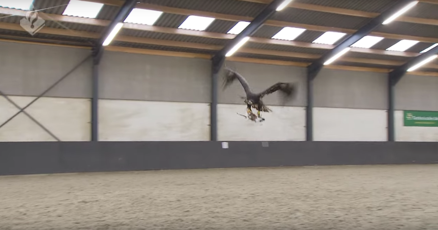 Capture d’écran 2016-02-03 à 17.11.45