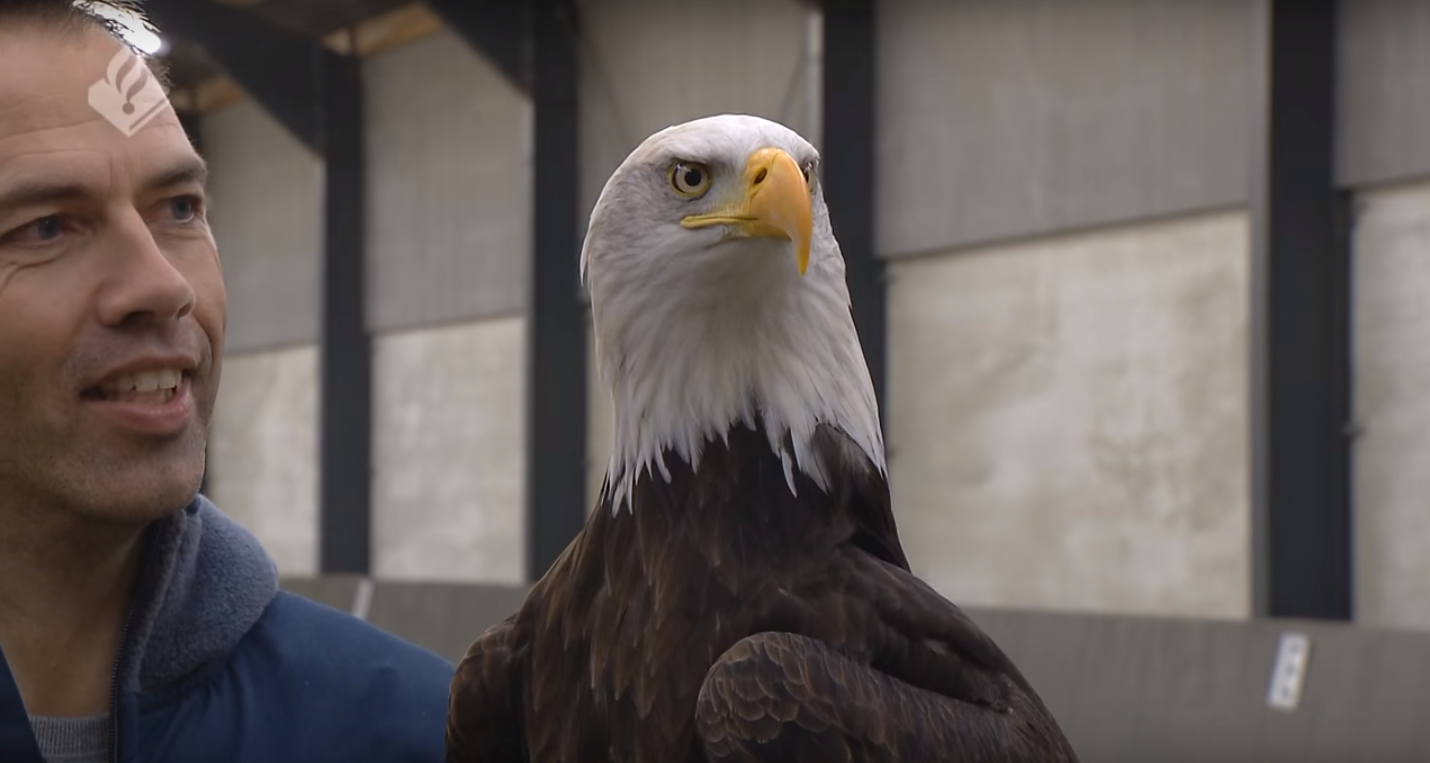 Capture d’écran 2016-02-03 à 17.11.55