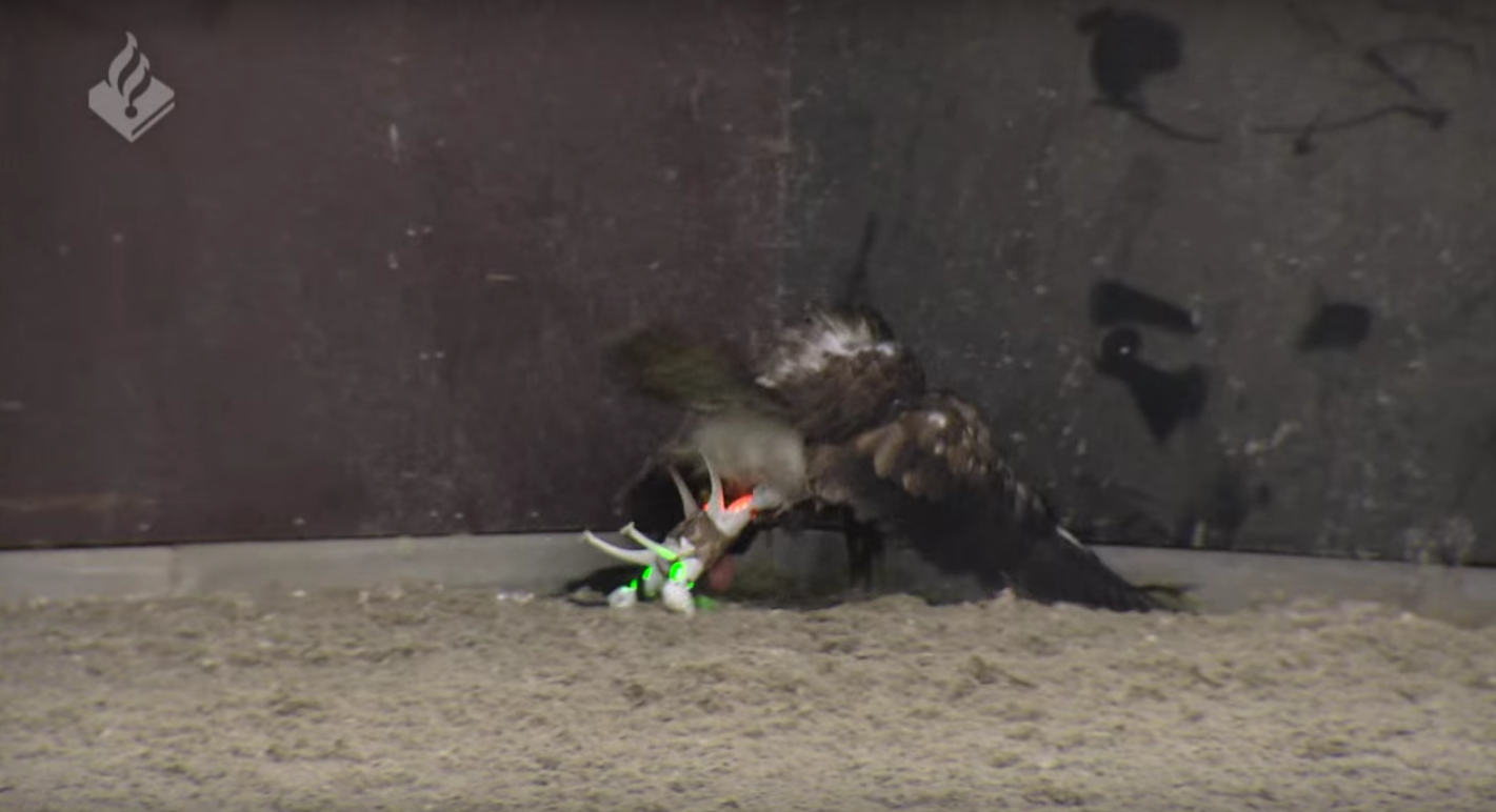 Capture d’écran 2016-02-03 à 17.12.17